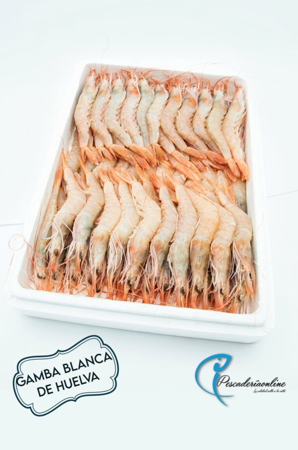 Gamba blanca de Huelva | Pescaderia Fernando Mesa