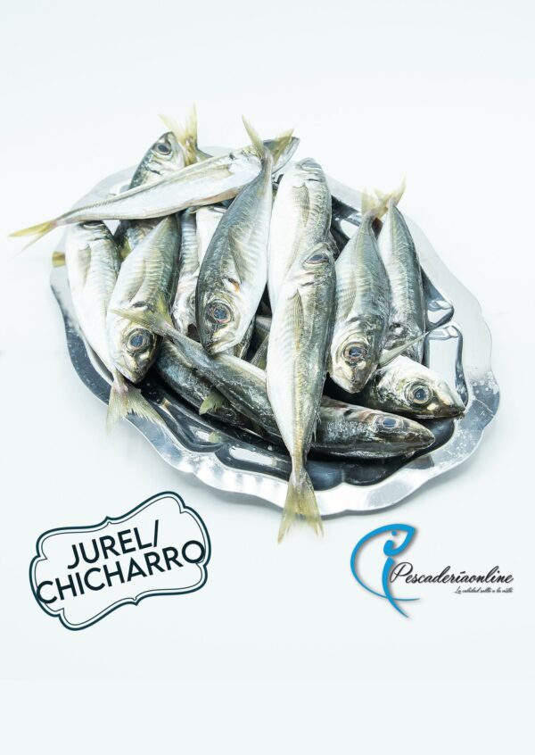 Jurel o Chicharro | Pescaderia Fernando Mesa