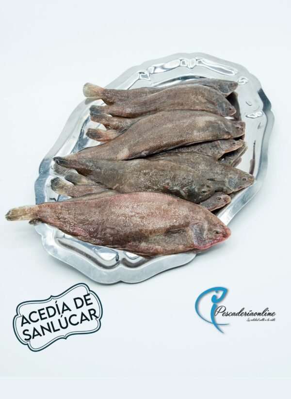 Acedias de Sanlúcar | Pescaderia Fernando Mesa