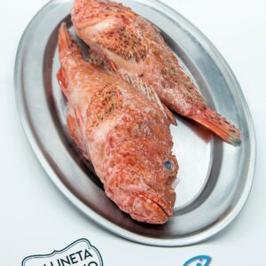 Gallineta Cabracho | Pescaderia Fernando Mesa