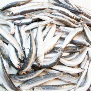 Boquerón gordo | Pescaderia Ana y Cristina