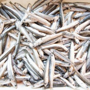 Boquerón fino | Pescadería Ana y Cristina