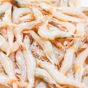 Gamba de Sanlúcar | Pescaderia Ana y Cristina