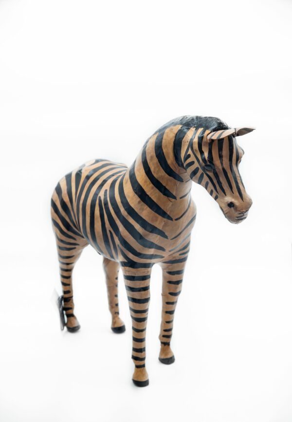 Zebra | Millán Urban