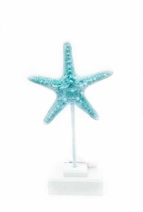 Estrella | Millán Urban