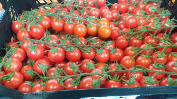 Tomate cherry en frutas martha