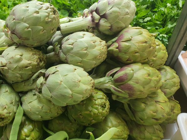 Alcachofa entera al natural en Frutas Martha Descuentos al Minuto