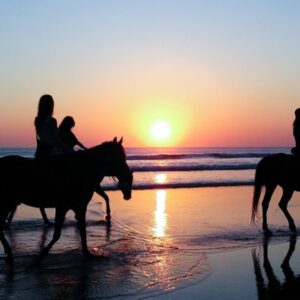 🐎 Paseos a Caballo por Guardalmesí (Tarifa)