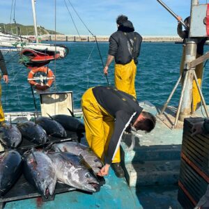 Vive el corazón marinero de Tarifa